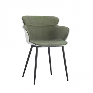 Mga Muwebles sa Sala 1693-F Modernong Designer Chair